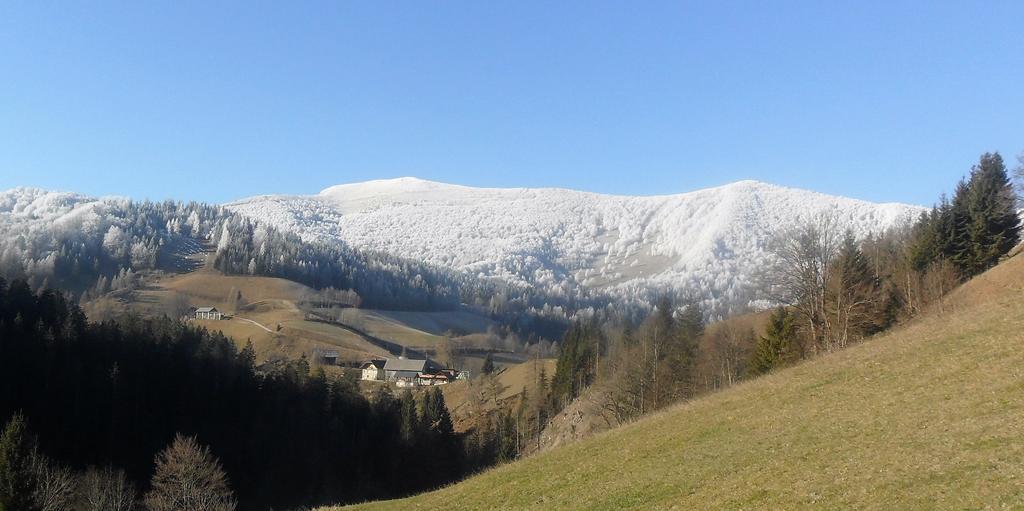 Peternelj Apartma